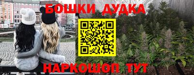 шишки Моздок