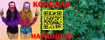 шишки Моздок