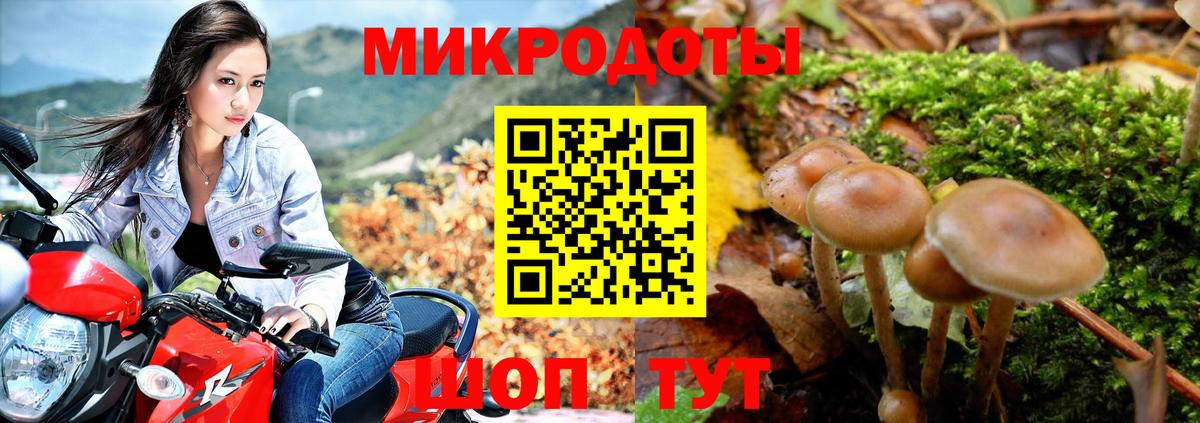 Псилоцибиновые грибы GOLDEN TEACHER  Вход с VPN  Шатура 